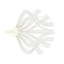 Aetherya